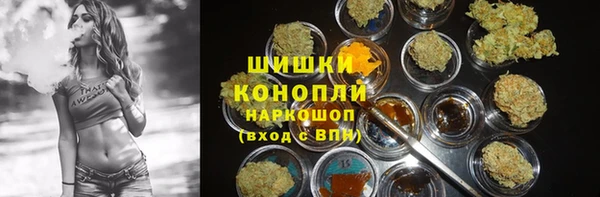 гидра Бугульма