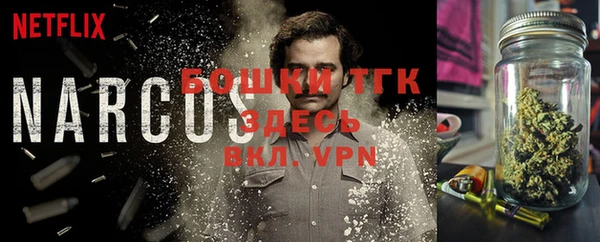 гидра Бугульма