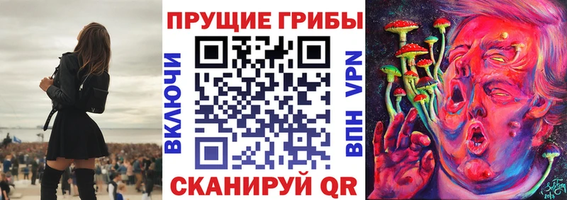Галлюциногенные грибы мицелий  Купить  Шахунья 