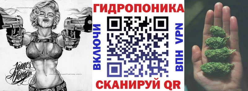 Купить закладки  Шахунья  МАРИХУАНА VHQ 